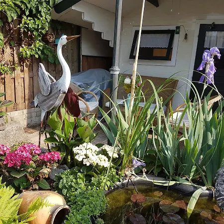 Bed & Breakfast De Droomsteeg
